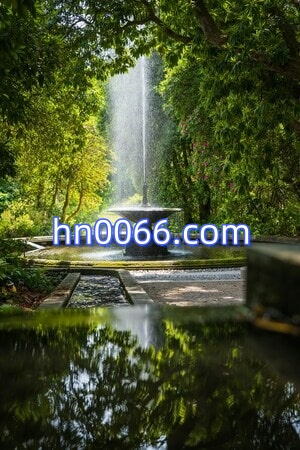 About-Image1
